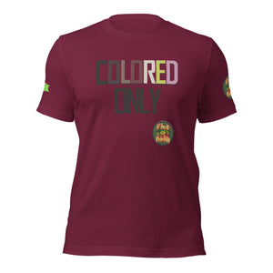 SHORT SLEEVE TEE SHIRT -COLORED ONLY -uniSex