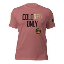 SHORT SLEEVE TEE SHIRT -COLORED ONLY -uniSex