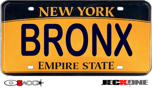 HOODIE (uniSex): BRONX  -VanityPlate