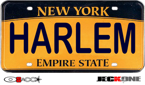 HOODIE (uniSex): HARLEM -VanityPlate